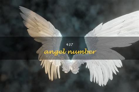 437 meaning love|Angel Number 437 – Meaning and Symbolism